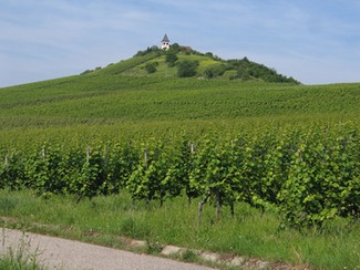 Der "W&auml;chter des Zaberg&auml;us": Der Michaelsberg von S&uuml;dosten aus gesehen.