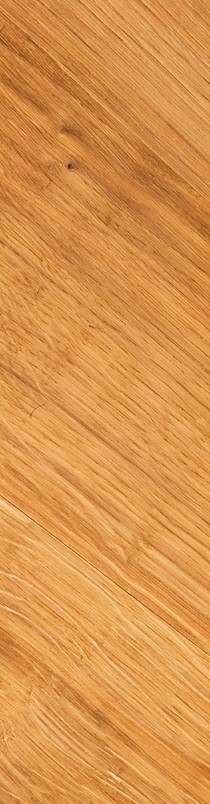 "Lignum/Holz: Rohstoff &ndash; Werkstoff &ndash; Baustoff &ndash; Brennstoff&ldquo;