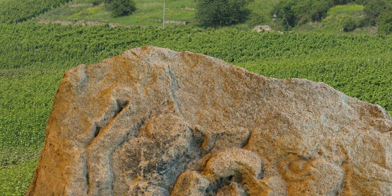 Der Michaelsberg von der Vor- und Frühgeschichte bis in Mittelalter und Neuzeit 