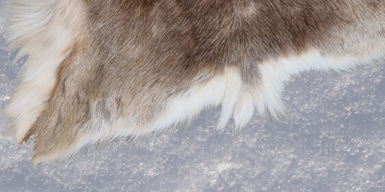 Winter is coming – Die geschichtlichen Bezüge von „Game of Thrones“