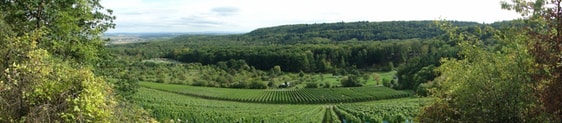 Erlebnislandschaft Naturpark Stromberg-Heuchelberg.