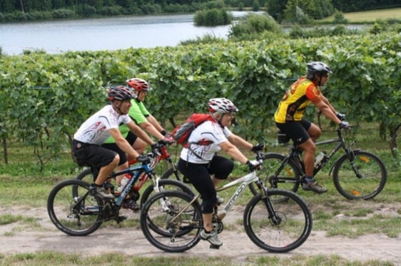 Mit dem Rad auf Erlebnis-Tour im Naturpark Stromberg-Heuchelberg. Foto: Neckar-Zaber-Tourismus