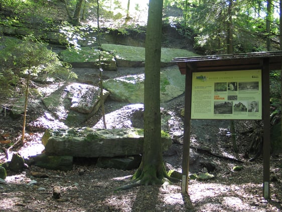 Weißer Steinbruch: Ein Aufschluss zeigt die hier abgebaute Stubensandsteinformation.