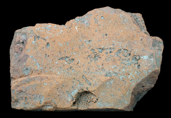 Leihgabe Dauerausstellung Ziegel