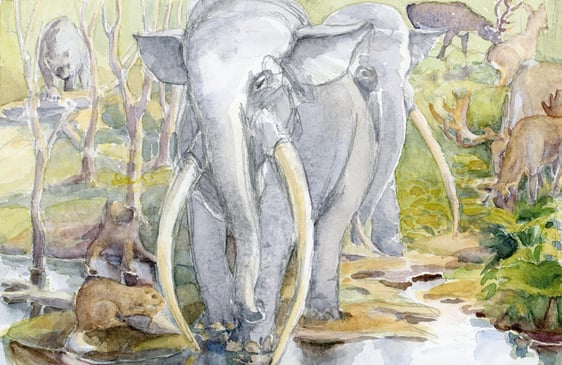 Lebensbild einer warmzeitlichen Fauna im Mittelpleistozän