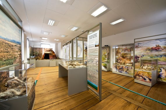 Sonderausstellung Älteste Spuren